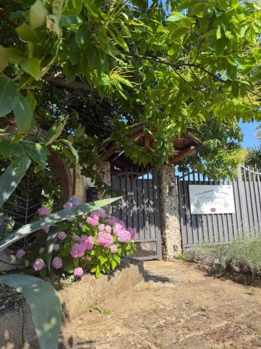 Campagna Bed & Breakfast | A Casa di nonna Emilia