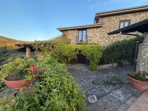 Ogliastro Cilento Bed & Breakfast | Agriturismo Chiusulelle