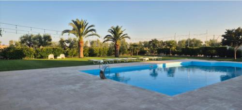 Cerignola Bed & Breakfast | B&B Uliveto