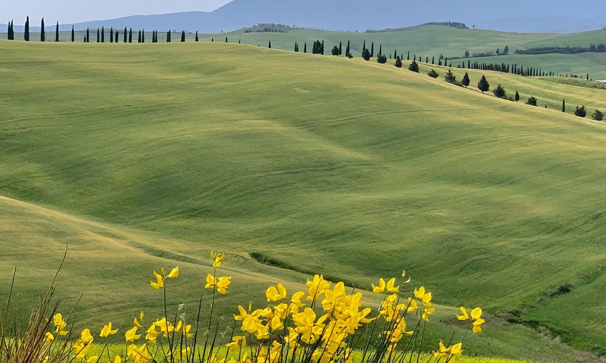 Trequanda Apartment | Enjoy a Classic Tuscan Hill Town holiday—now with AC!
