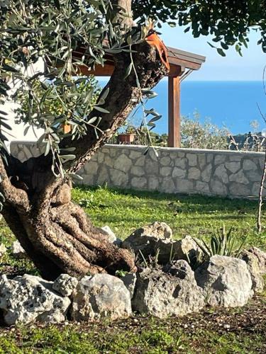 Peschici Villa | Tenuta Solleone