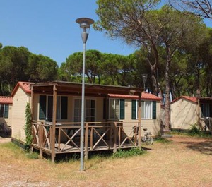 Chalet Pine Forest The Sea 