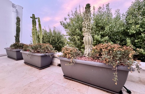 Torre a Mare House | 18zero2 Luxury Rooms Stella verde