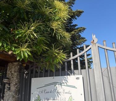Campagna Bed & Breakfast | A Casa di nonna Emilia