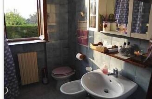 Cingoli Bed & Breakfast | Amor di lavanda