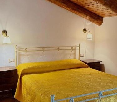 Campagna Bed & Breakfast | Antico Palmento