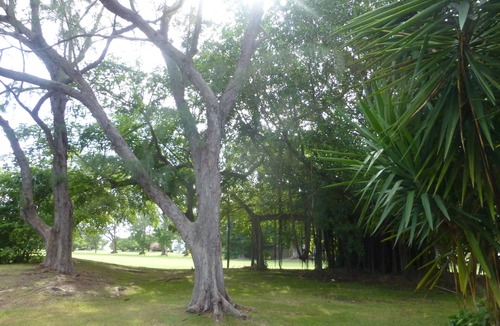 Rockley Apartment | Apartment Rockley Golf Club 2 bed 2 bath , Restaurant, Bar. Pool, Tennis & Golf