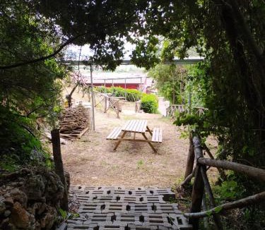Campagna Bed & Breakfast | b&b Tenuta San Felice