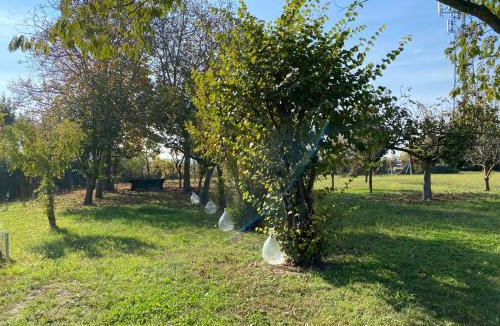 Codevigo House | Balabuska Rooms & Garden