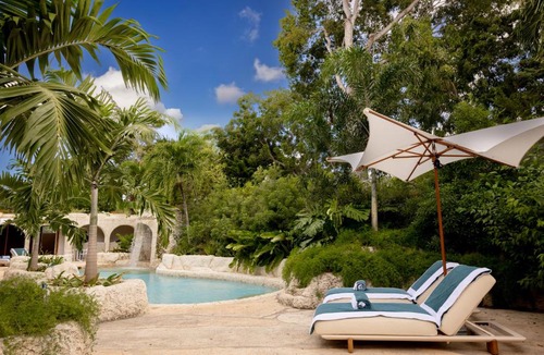Old Trees Bay Hotel | Blue Monkey Hotel & Beach Club