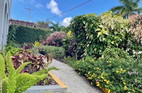 Newton Terrace Apartment | Bright & Breezy Budget Stay Near Airport & South Coast(Sleeps 3)