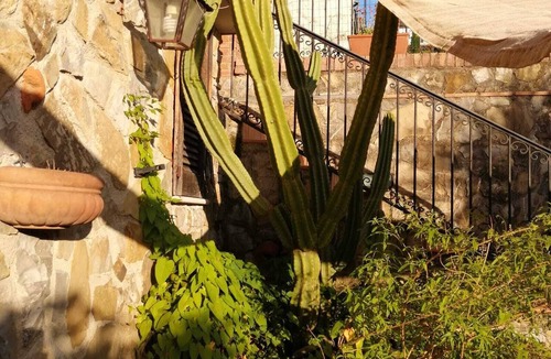 Vallo Scalo House | Casa Vacanza "Casa Dolce Casa"