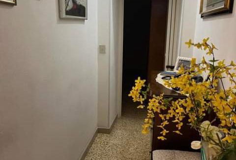 Livorno Apartment | Casa vacanze natalizie/Estive/Ultimi dell'anno