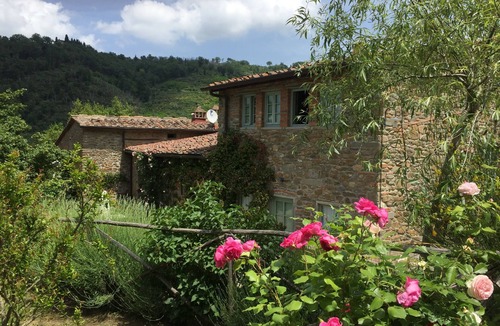 Poggio Alla Croce House | Chianti, only 18 km from Florence, vineyard, olives groves, wildlife Great view