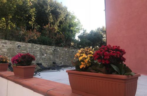 San Mauro Cilento Bed & Breakfast | Cilento