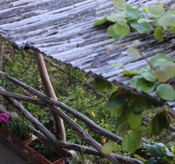 Montepertuso Bed & Breakfast | Colle dell'Ara