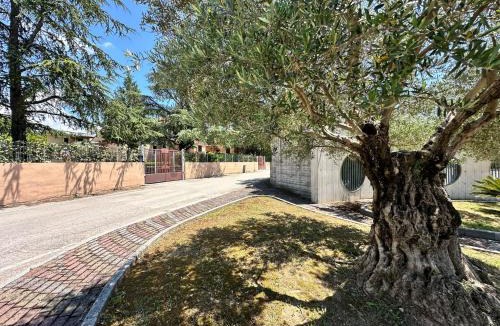 Pontecagnano Faiano Bed & Breakfast | Dimora Don Antonio