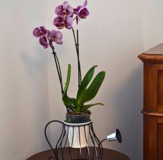 Piamaggio Bed & Breakfast | IL GINEPRO B&B