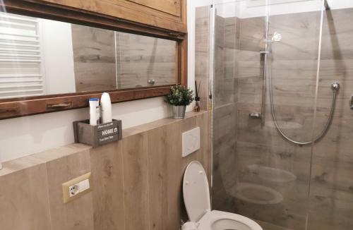 Collesalvetti Apartment | Il Podere di Remo
