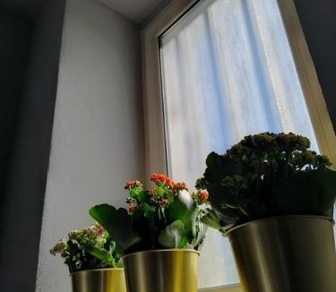 Celso Bed & Breakfast | KISS from CILENTO