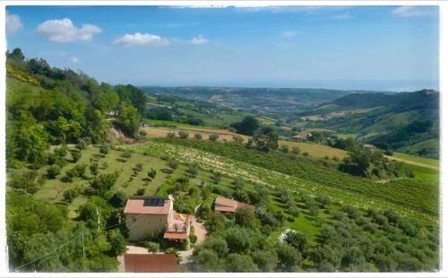 Ripatransone Bed & Breakfast | La Fonte e l Ulivo