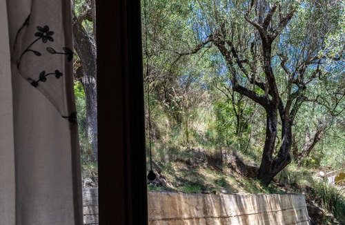 Marina Lido House | La Mazzola, two-room apartment among the olive trees a few meters from the sea