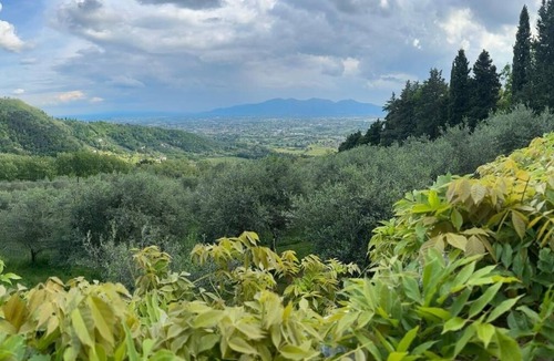 Nozanno House | Lucca Tuscany Olive Farm house 4 bedrooms Terrace views of Tuscany with pool