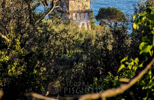 Marina Lido House | Luneria villa, home soul of the place