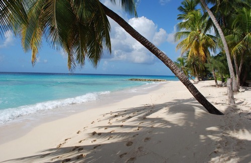 St. Lawrence Gap Apartment | NEW Beautiful Ocean View Penthouse 2 bedrooms 2 bath Dover Beach