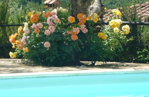 Poggibonsi Apartment | PASSERO:Peaceful farmhouse close to Tuscany 's best treasures, 1 mile from shops