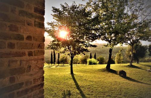 Cupramontana Bed & Breakfast | Quelli del Picchio