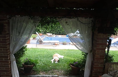 Foiano della Chiana Cottage | Rural house in the heart of TUSCANY
