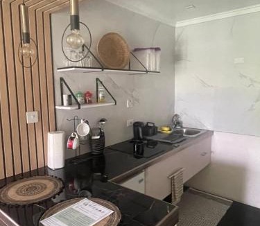 Haggatt Hall Apartment | Scarlett Studios 1- Modern Studio For Holidays & Extended Stays -Near Ross University & US Embassy- Accommodation With Optional Car Rental