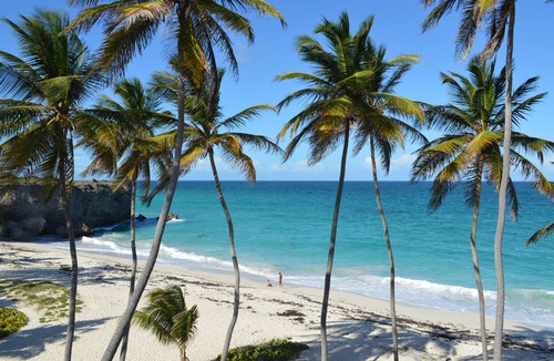 Silver Sands Hotel | Tropical Gecko Studio