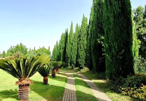 Altavilla Silentina Bed & Breakfast | Villa Lucilla