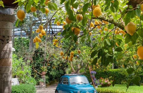 Piano di Sorrento Bed & Breakfast | Villa Maresca B&B