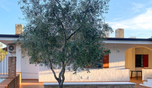 5 bedroom amazing home in Vieste