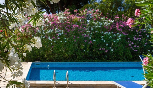 Agriturismo "Bilo Gardenia" with Pool, Wi-Fi & Garden in Marina di Grosseto