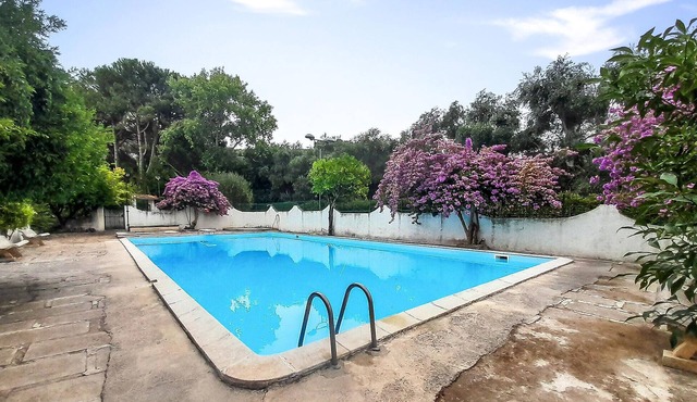 Amazing apartment in Vico del Gargano