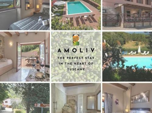 Amoliv in Arezzo