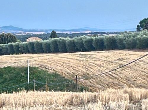 Angolo,di Chianti in Castelnuovo Berardenga
