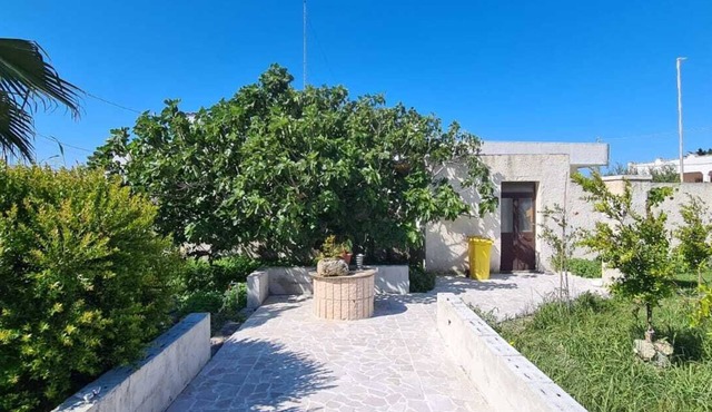 Apartment 10 mt (real) from the sea of Salento, pets allowed in Torre Chianca