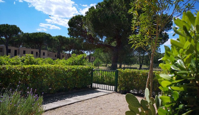 Apartment Bruno at Principina a Mare in Principina a Mare