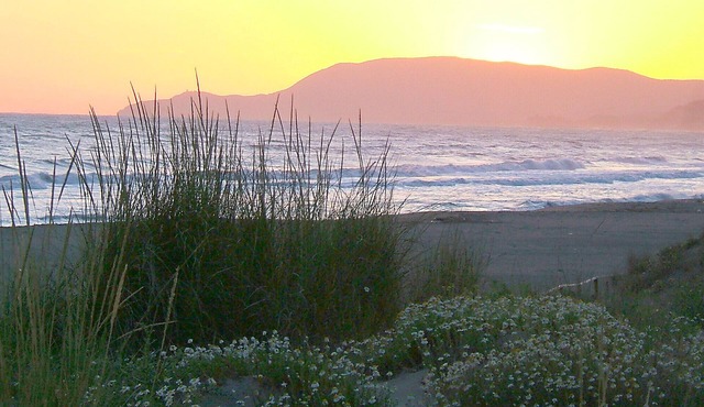 Apartment Malibu near the Beaches in Marina di Grosseto