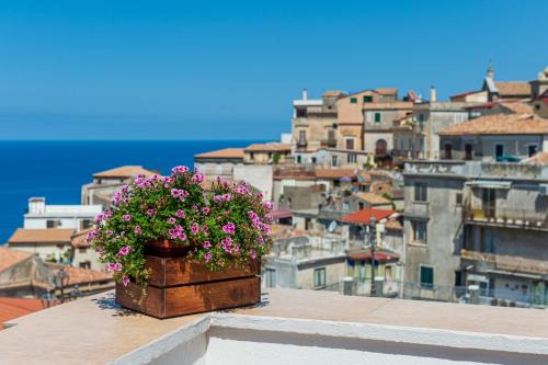 B&B La Terrazza in Cetraro