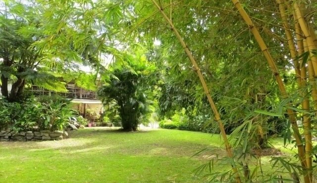 Beautiful Eco friendly, Vegetarian Apartment