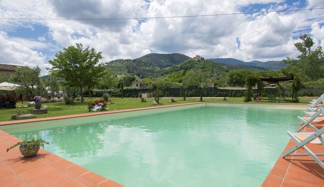 Beautiful private villa for 14 people with A/C, private pool, WIFI, TV, patio and pets allowed in Capannori