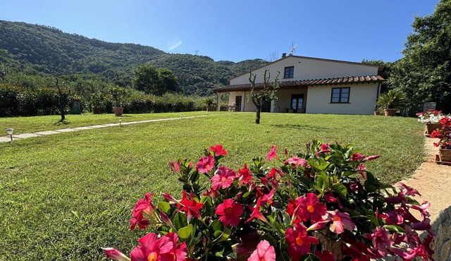 Beautiful private villa for 7 people with A/C, WIFI, TV, veranda, pets allowed and panoramic view in Lucca
