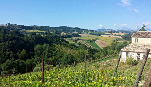 Biancopecora in SantʼElpidio Morico