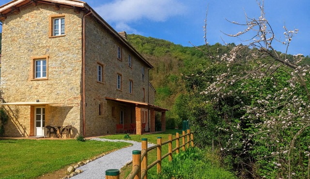 Casa Formentale: a cozy apartment in Tuscany farmhouse surrounded by olive trees in Lucca